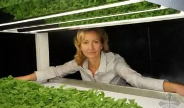 誰說創(chuàng)業(yè)一定得高科技，回家種菜也能發(fā)家致富