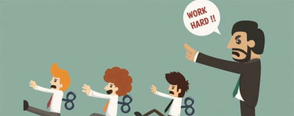 年底，員工對老板說的一句最傻的話是？