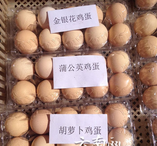 生態農業新項目：讓雞吃中草藥市場非常青睞下的生態蛋