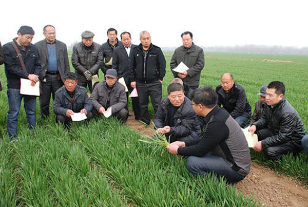 開展農技服務。