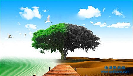 環保工程資質代辦如何準備資產？