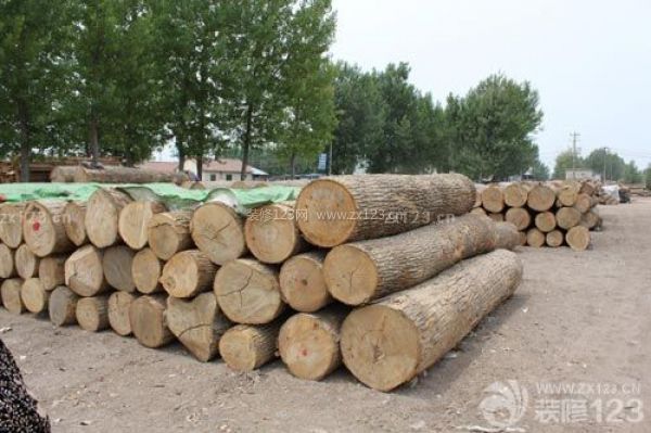 水曲柳家具的優缺點