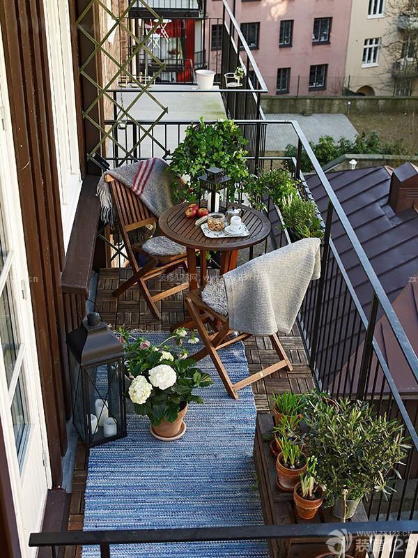 凈化空氣的室內(nèi)植物