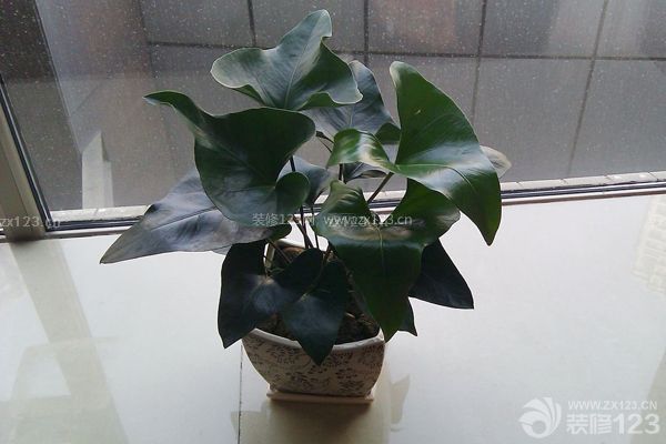 新房裝修后多久能入住