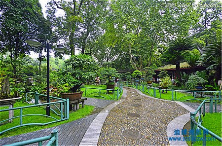 有帶園林綠化資質(zhì)轉(zhuǎn)讓的嗎，購(gòu)買園林綠化公司去哪找